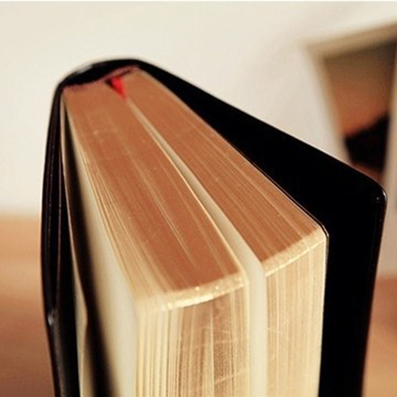 Vintage Thick Leather Bible No - Leather Work Notepad reseña y precio